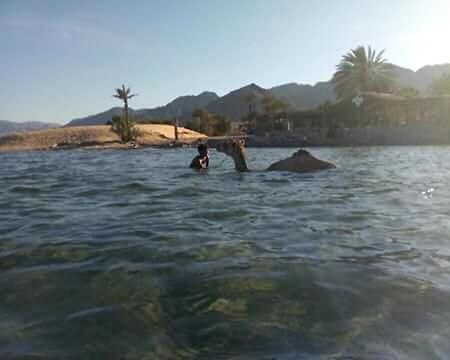 Sebaii Camp السباعى كامب شاطئ الترابين بجوار ويت بالس Hostel Nuweiba Bagian luar foto