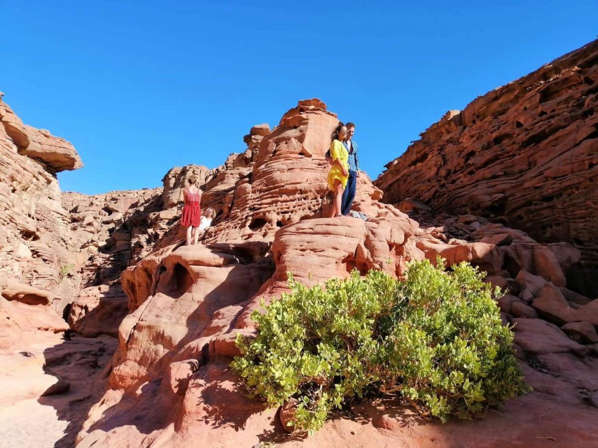 Sebaii Camp السباعى كامب شاطئ الترابين بجوار ويت بالس Hostel Nuweiba Bagian luar foto