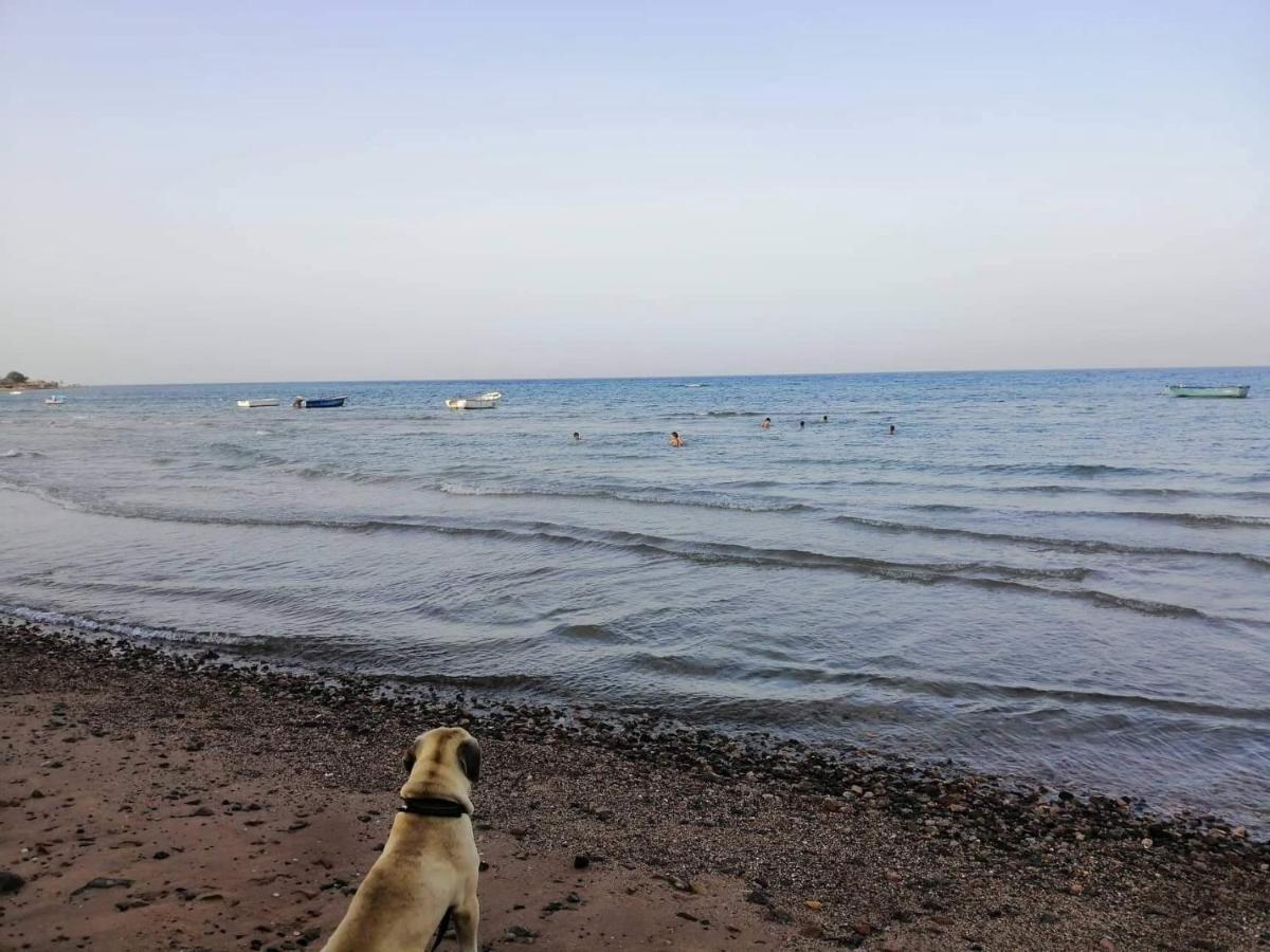 Sebaii Camp السباعى كامب شاطئ الترابين بجوار ويت بالس Hostel Nuweiba Bagian luar foto