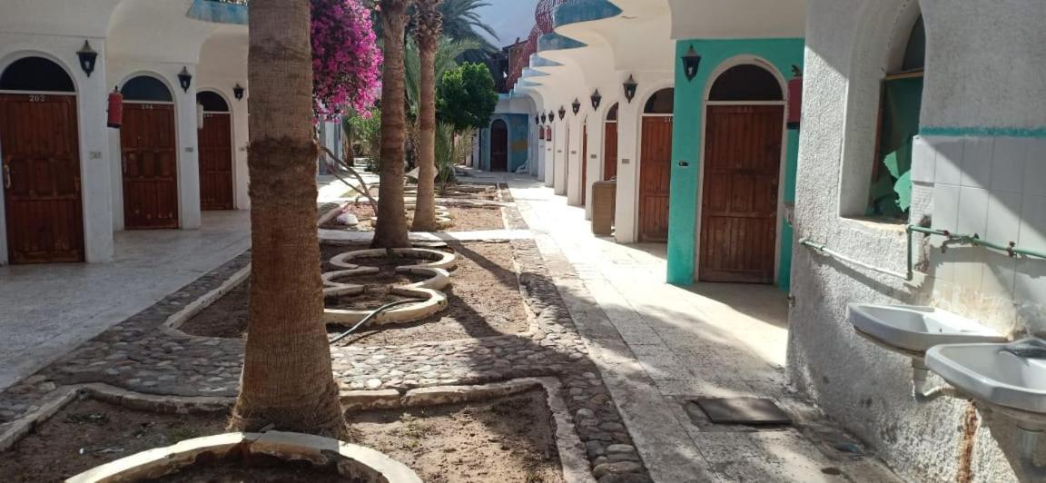 Sebaii Camp السباعى كامب شاطئ الترابين بجوار ويت بالس Hostel Nuweiba Bagian luar foto